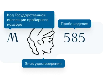 /upload/dev2fun.imagecompress/webp/images/detail/585-mobile.webp
