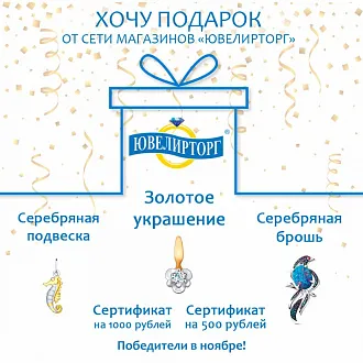 «Хочу подарок» — ноябрь 2020